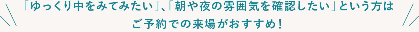 見学会のご案内