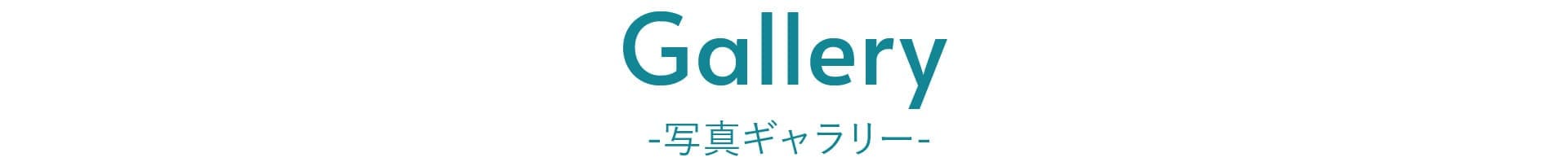  写真ギャラリー