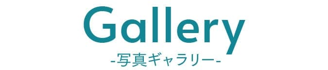  写真ギャラリー